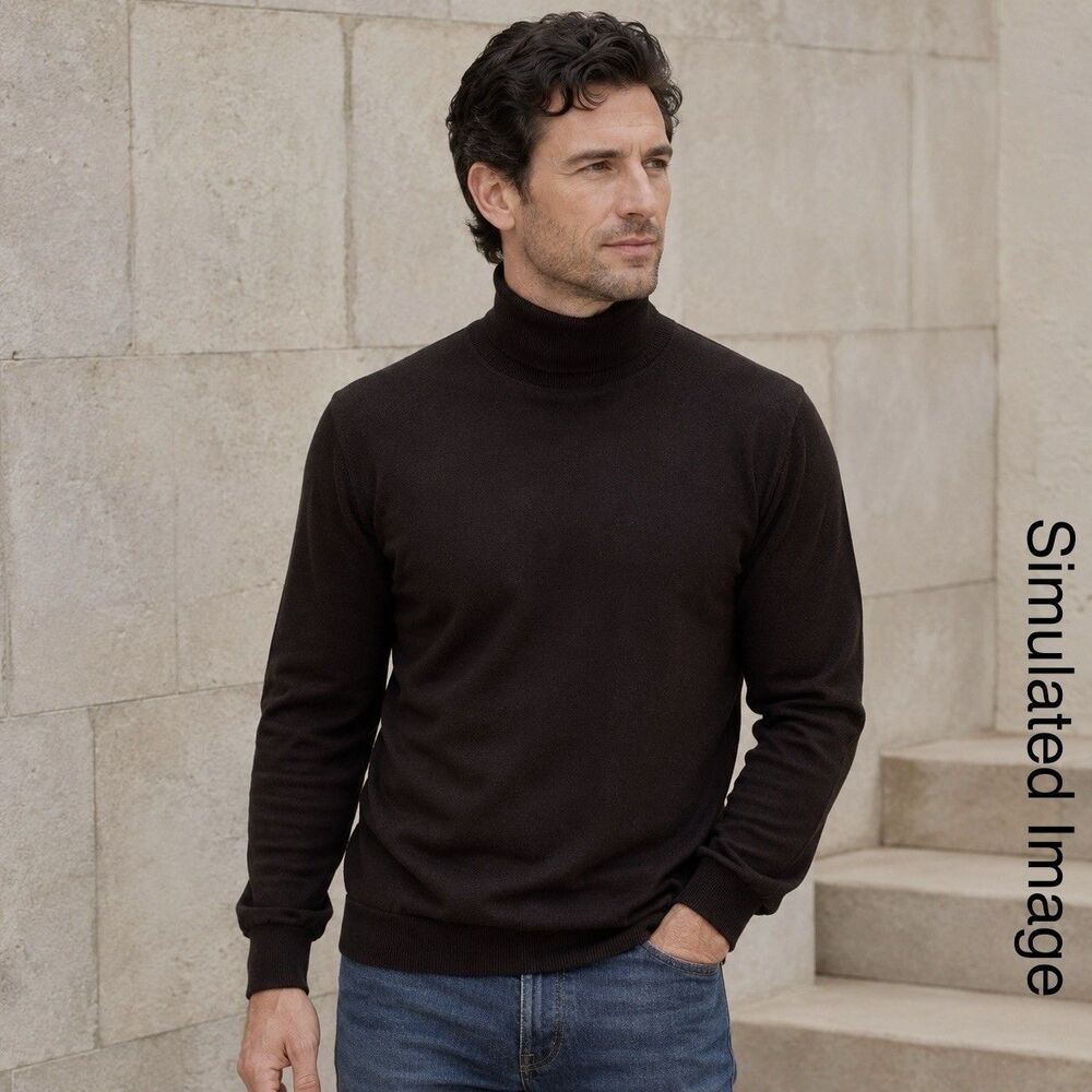 Banana Republic Stretch Merino Wool Turtleneck Sweater Dark Brown Mens L